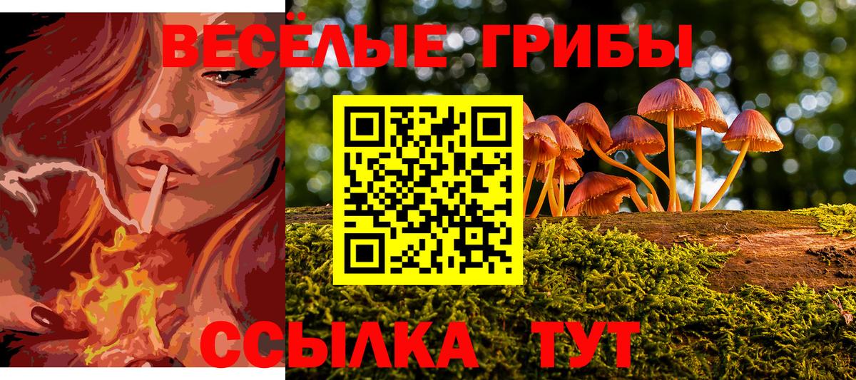 Псилоцибиновые грибы прущие грибы  Вход с VPN  магазин  наркотиков  Новосибирск 