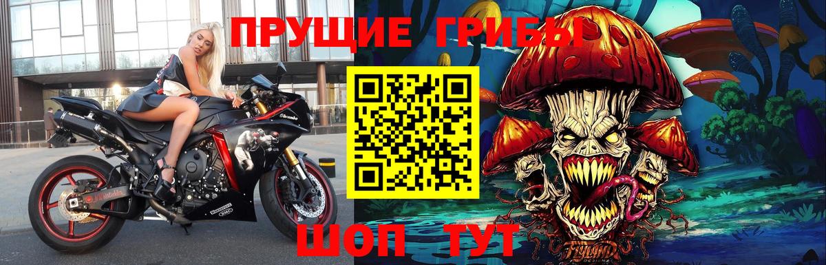 Галлюциногенные грибы мицелий Новосибирск